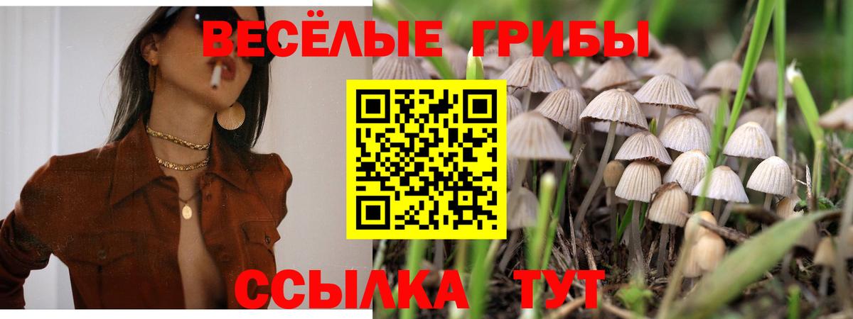 Галлюциногенные грибы Cubensis  Галлюциногенные грибы мицелий  Богородск  Вход с VPN 